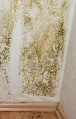 Cavity Wall Insulation Claim